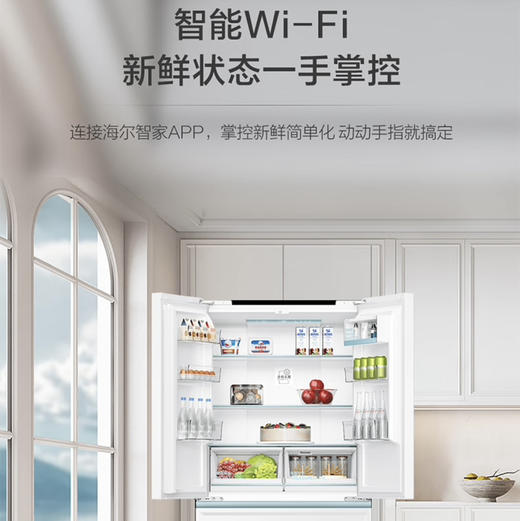 海尔（Haier） 冰箱 BCD-461WGHFD45W9U1 商品图10