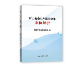 矿山安全生产违法犯罪案例解析