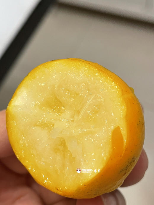 蜜蛋金柑  改良品种 当之无愧千里挑一 脆嫩多汁 皮软软肉甜甜 润嗓又刮油！ 商品图0