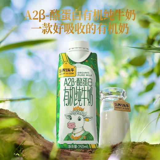 认养一头牛A2β-酪蛋白有机纯牛奶250ml * 10盒*2提 商品图0