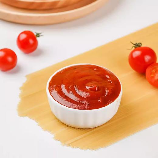 250g 百钻 经典番茄意面酱 拌面酱披萨酱意粉酱 调味酱料 商品图1