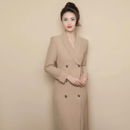 IWY/卡其色正装女高级感商务职业西装裙教师录课主持人卡其连衣裙Q1004 商品图4