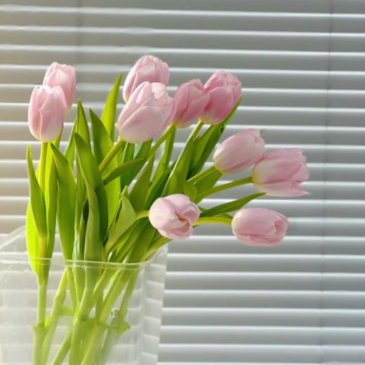 郁金香丨王朝粉丨10支 商品图1