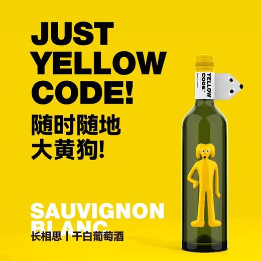 智利大黄狗长相思干白葡萄酒750ml/瓶 商品图1