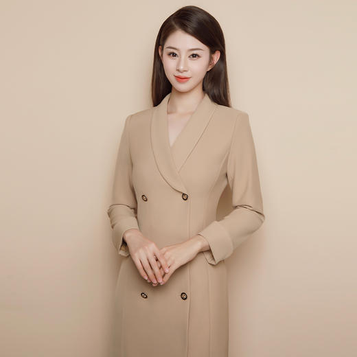 IWY/卡其色正装女高级感商务职业西装裙教师录课主持人卡其连衣裙Q1004 商品图0