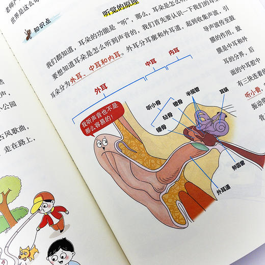 【物理百科】《太有意思了！生活中的物理》（全6册）【6-12岁】 商品图6
