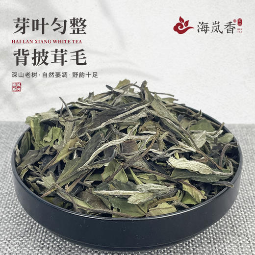 海岚香  荒野白茶贡眉 雅风系列  50g*6盒/件 商品图2