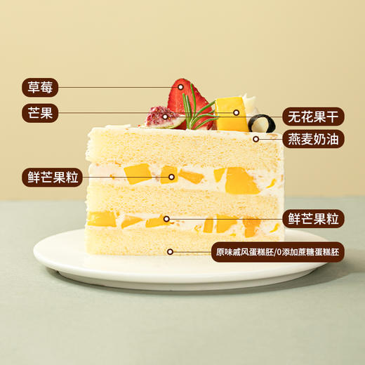 【文艺小清新】燕麦果果蛋糕，富含膳食纤维的养生蛋糕（双层199.9） 商品图1