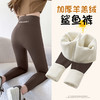 可穿到160斤【提臀收腹！外穿鲨鱼裤】时尚百搭不挑身型女内搭秋冬加绒裤子高腰修身显瘦瑜伽裤收腹加绒芭比裤子女 商品缩略图1