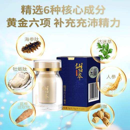 仙阳萃 海参肽片黄精人参沙棘桑葚枸杞压缩能量片【安太医旗下新品】 商品图0