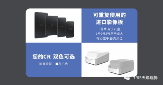 牙片宝/TR310/天逸瑞狮 商品图6