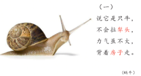 谜语《蜗牛》