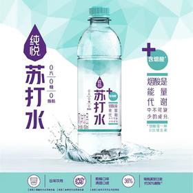 纯悦苏打水烟酸风味饮品450ml  22193131