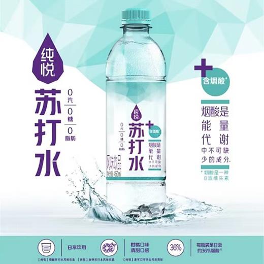 纯悦苏打水烟酸风味饮品450ml  22193131 商品图0