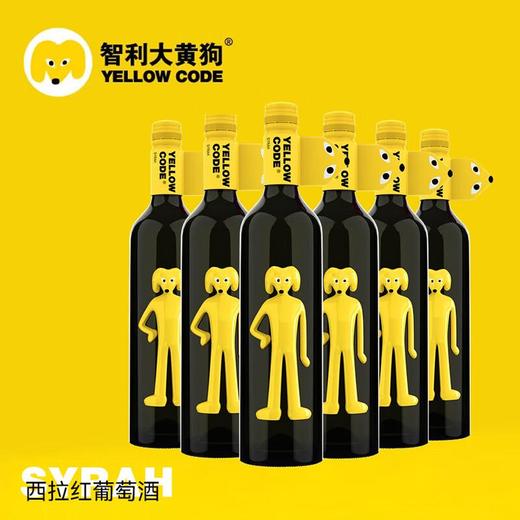 智利大黄狗西拉干红葡萄酒750ml/瓶 商品图2