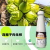 中林牌椰子汁250ml  22192387 商品缩略图0