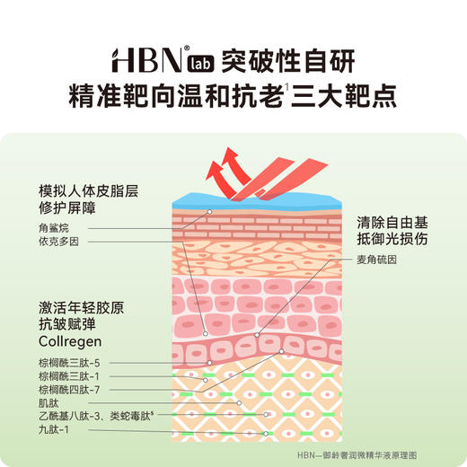 2025【流金瓶精华】HBN 御龄润微精华液 高浓度胜肽 专属敏感肌的抗老精华 商品图5