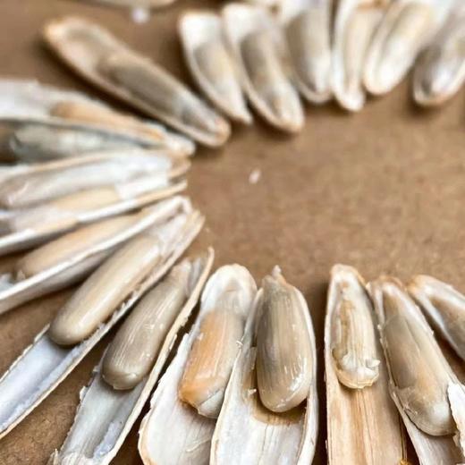 新疆马牙瓜子(原味)【500克/袋】 商品图2