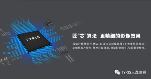 牙片宝/TR310/天逸瑞狮 商品图9