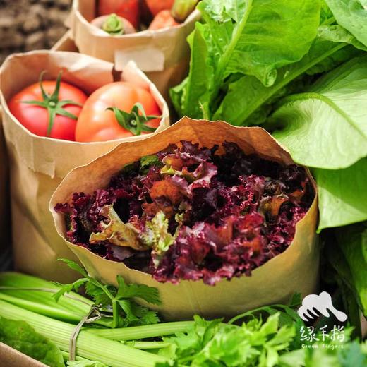 发省外生态蔬菜（陆运，不售后） | 绿家自产* Ecological leafy vegetables | Self-production 商品图0