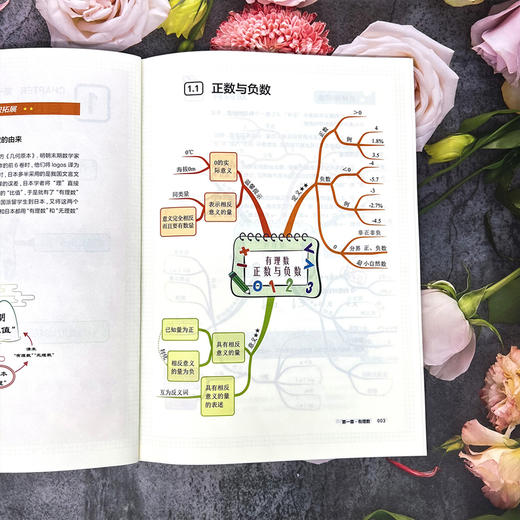 【初中数学】《数学私房课-思维导图》全3册 赠送230节视频微课【10-15岁】 商品图2