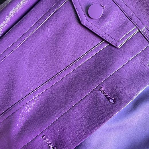 定制—都市摩登——紫色潮感皮夹克翻领外套、秋季短款外套  2205047 商品图4