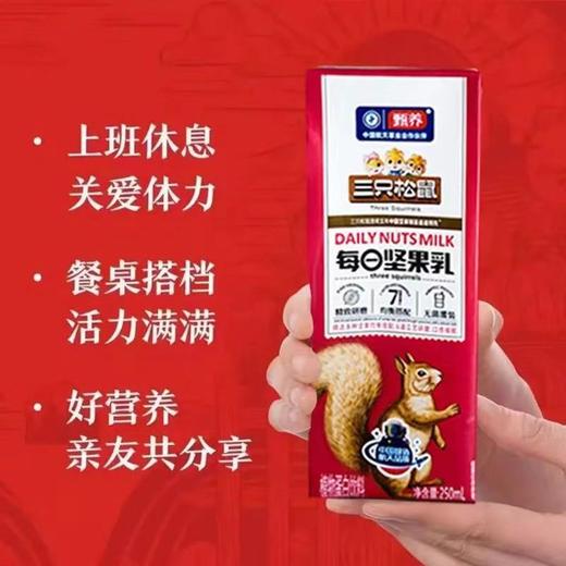 三只松鼠 每日坚果乳250ml*12盒/箱【FY】 商品图1