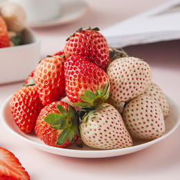 红白双拼草莓 600g礼盒装（300g*2盒） 当天一早产地鲜采（产地顺丰发货）