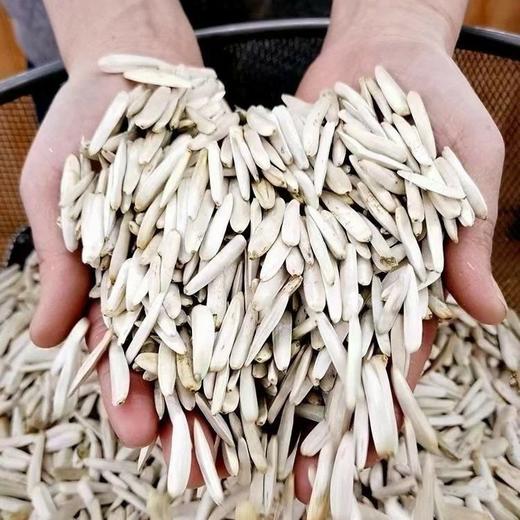 新疆马牙瓜子(原味)【500克/袋】 商品图1