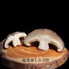 特级香菇 约500g /份 商品缩略图1