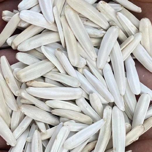 新疆马牙瓜子(原味)【500克/袋】 商品图0