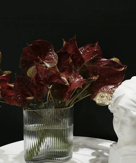 【绿光彩掌】映时 咖啡色掌