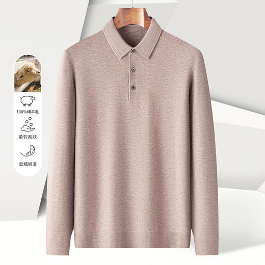 【100绵羊毛】罗蒙秋冬男装羊毛衫男保暖羊毛polo衫男长袖毛衣男 商品图2