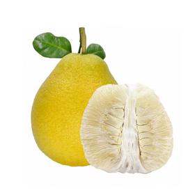 沙田柚 约1.2kg+/个