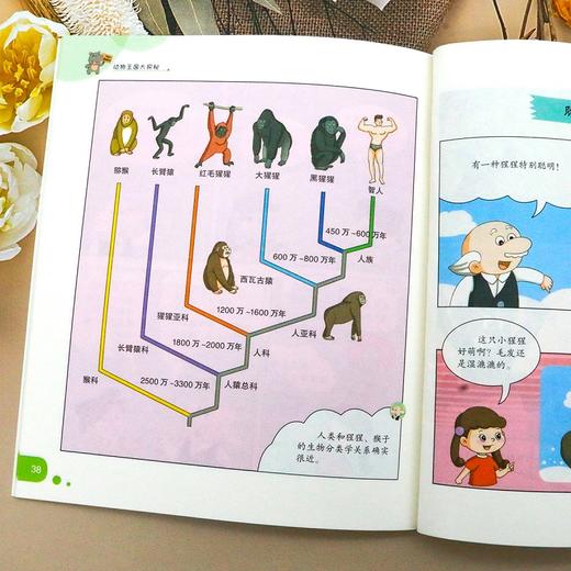 【漫画动物百科】《漫画科学第7辑：动物王国大探秘》全4册【6-12岁】 商品图6