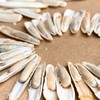新疆马牙瓜子(原味)【500克/袋】 商品缩略图5