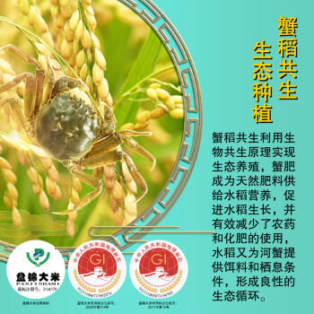 金龙鱼 东北大米 盘锦大米 5kg 产地直发 商品图3