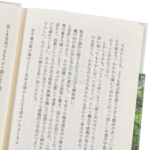 【中商原版】树木与树叶 若山牧水随笔集 日文原版 樹木とその葉 商品图3