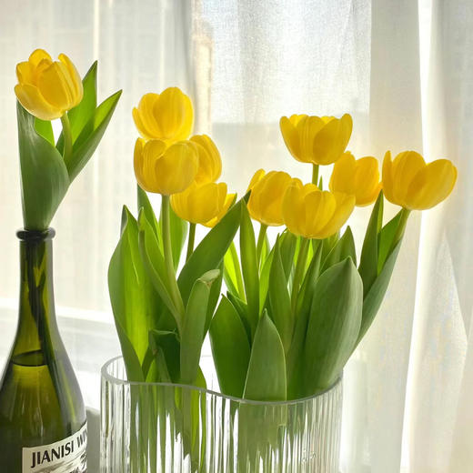 郁金香丨麦田丨10支 商品图2