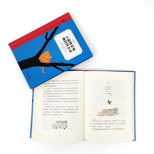 【奇想国】奇想文库 精装 《小猫凯蒂和她的四条命》 商品图2