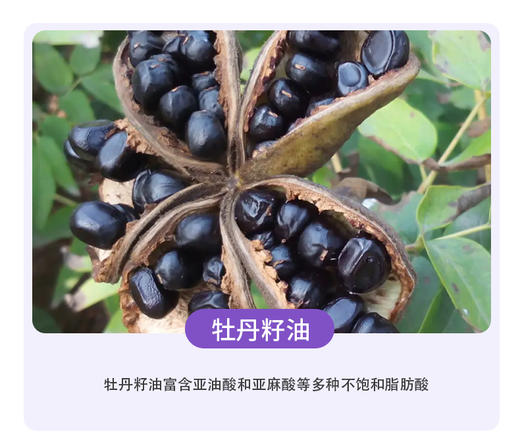 斯诺森白番茄籽油水晶番茄关爱女性呵护乳腺美国原装进口 商品图10