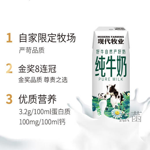 蒙牛现代牧业 三只小牛 金奖全脂精装纯牛奶  250ml*12  生产日期24年1月2日 商品图2