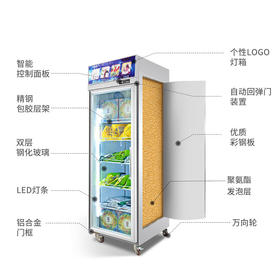 【家用电器】商用立式冰柜超市生鲜冻肉速冻食品低温柜冻品包子汤圆冷冻展示柜