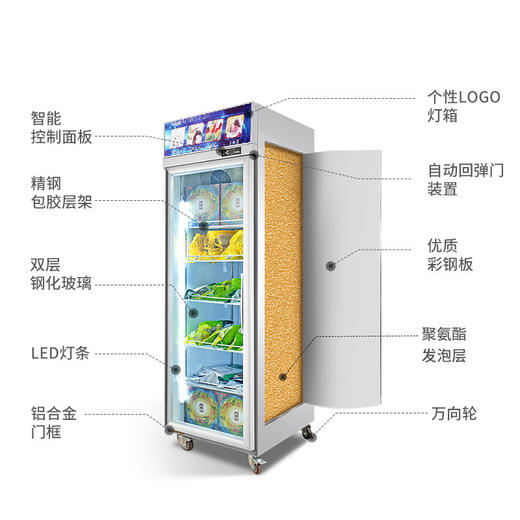 【家用电器】商用立式冰柜超市生鲜冻肉速冻食品低温柜冻品包子汤圆冷冻展示柜 商品图0