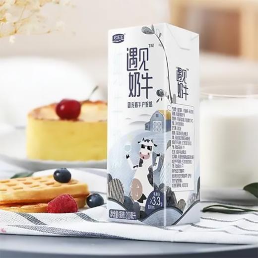 君乐宝遇见纯牛奶 商品图0