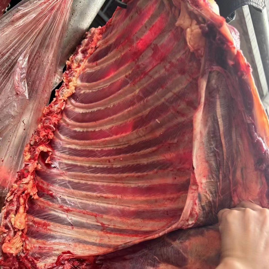 川~野生牦牛肉发顺丰