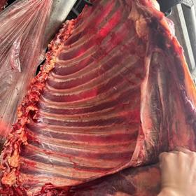 川~野生牦牛肉发顺丰