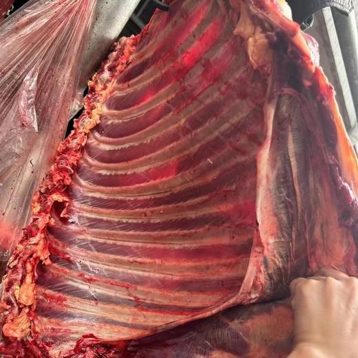 川~野生牦牛肉发顺丰 商品图0