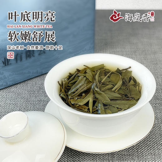 海岚香  荒野白茶贡眉 雅风系列  50g*6盒/件 商品图3