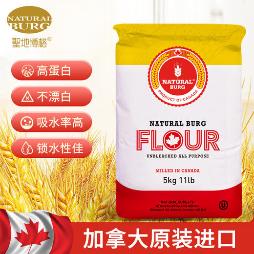 加拿大进口高筋小麦面粉圣地博格吐司披萨面包烘焙饺子面条 商品图0